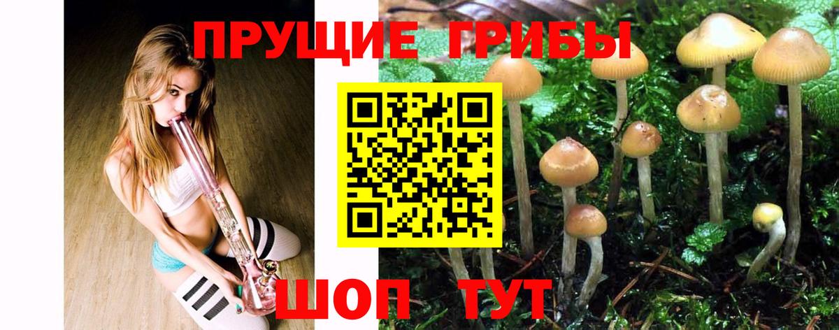 Псилоцибиновые грибы Cubensis Серпухов